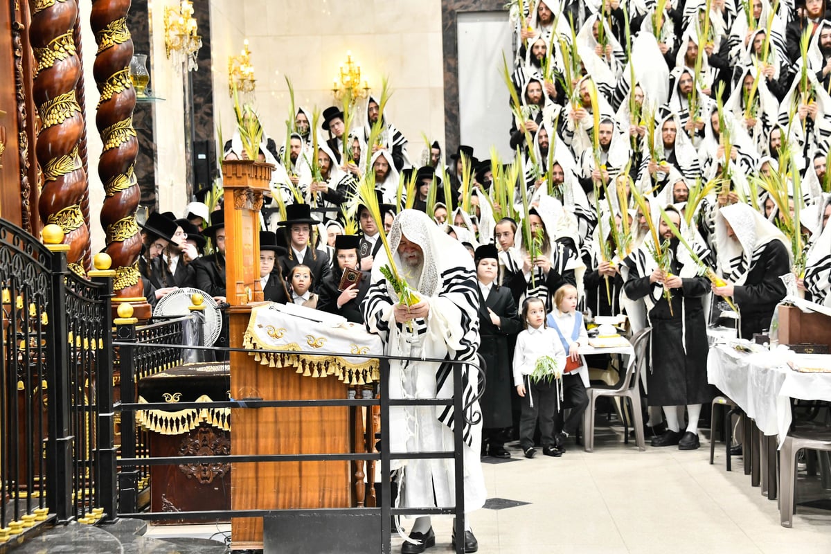 הושענא רבה בחצה"ק דארג 