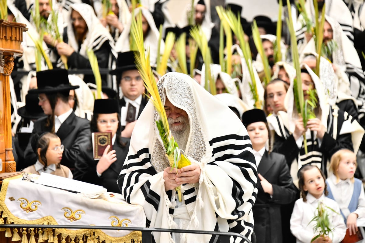 הושענא רבה בחצה"ק דארג 