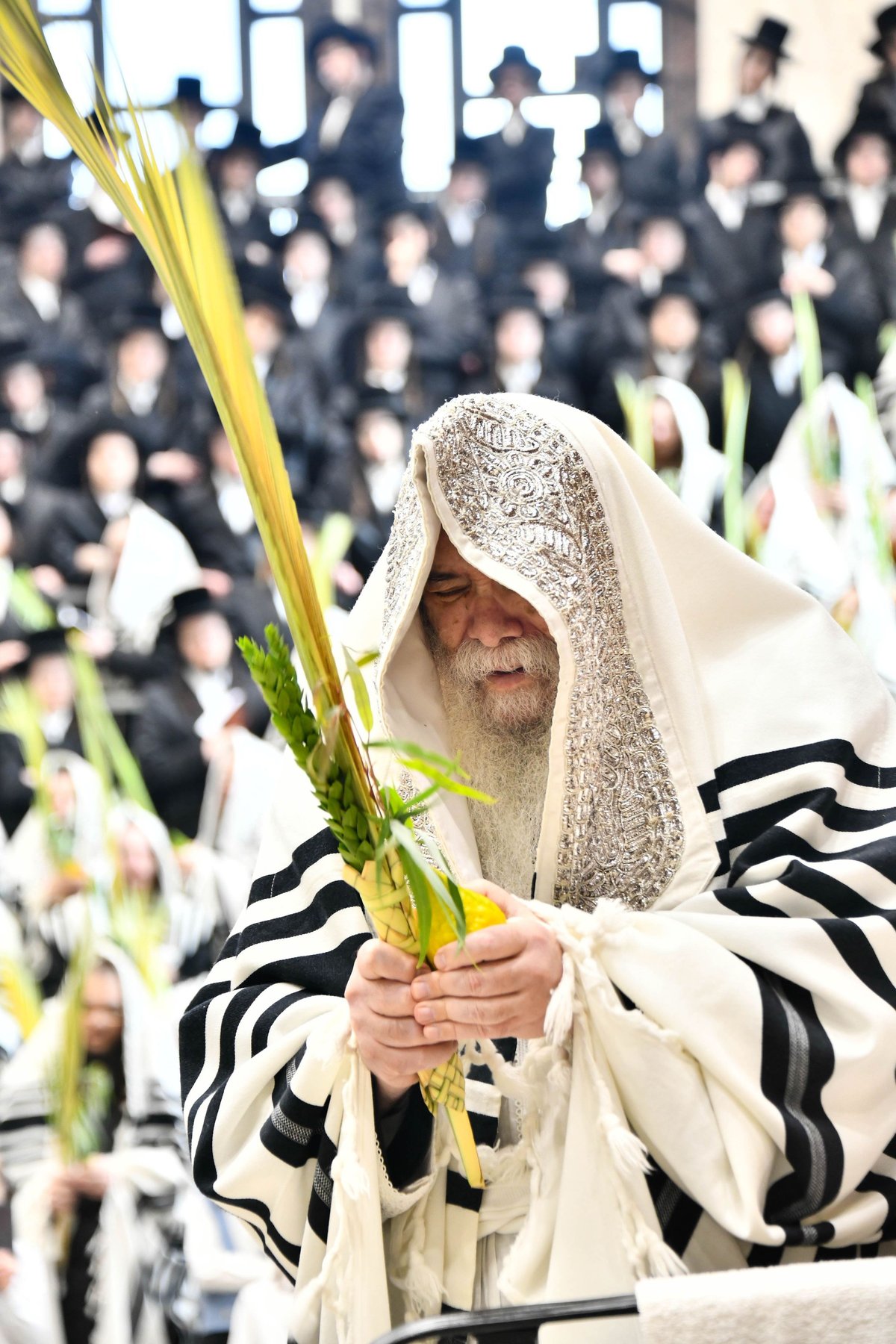 הושענא רבה בחצה"ק דארג 