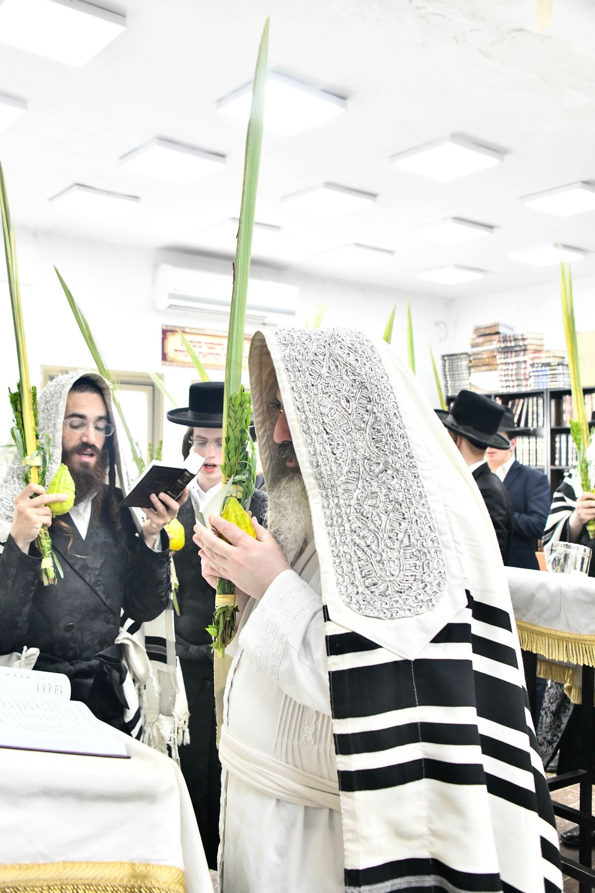 הושענא רבה בצל האדמו"ר מזוטשקא אמסנא 