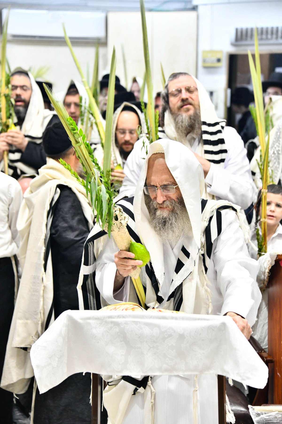 הושענא רבה אצל המשפיע הגה"צ רבי אלימלך בידרמן 