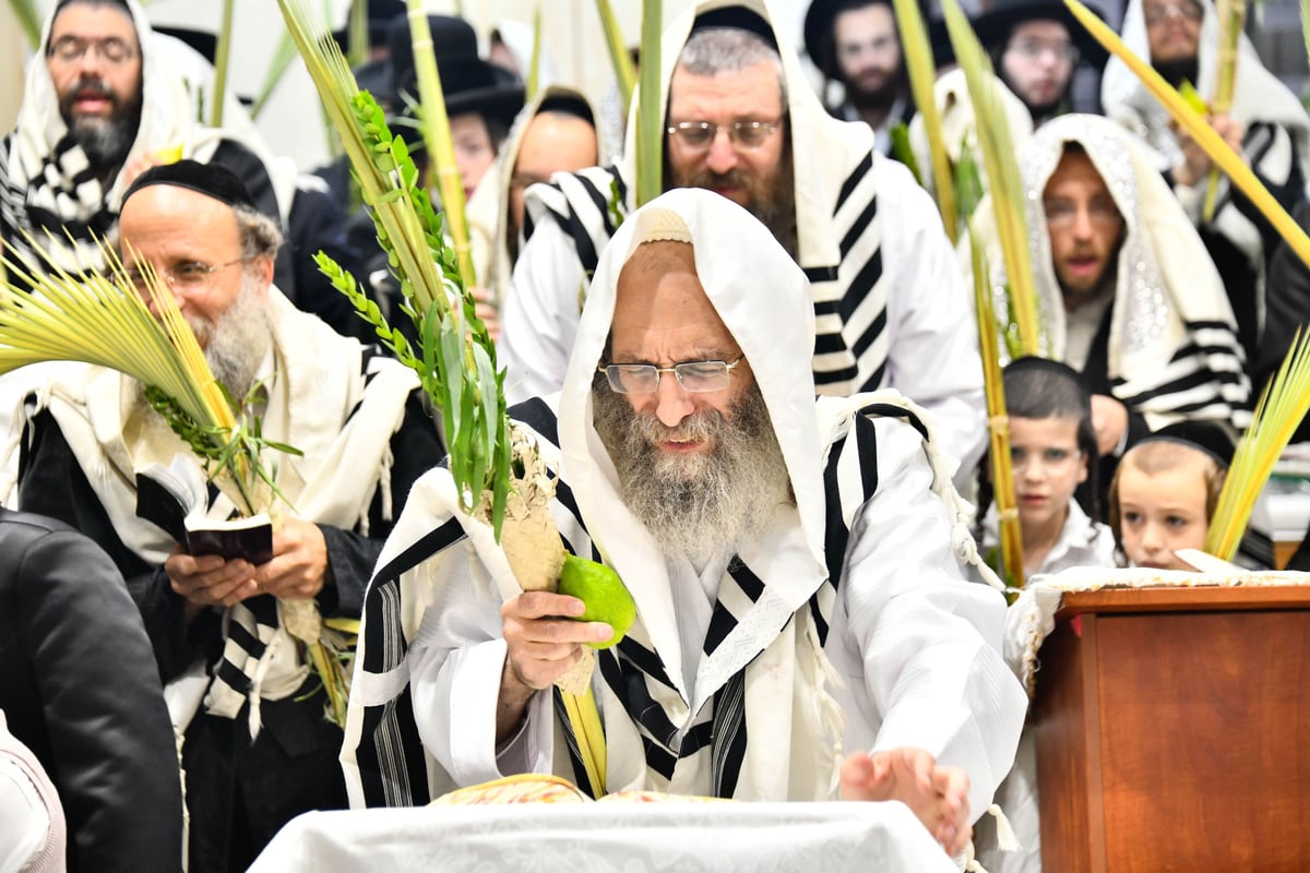 הושענא רבה אצל המשפיע הגה"צ רבי אלימלך בידרמן 