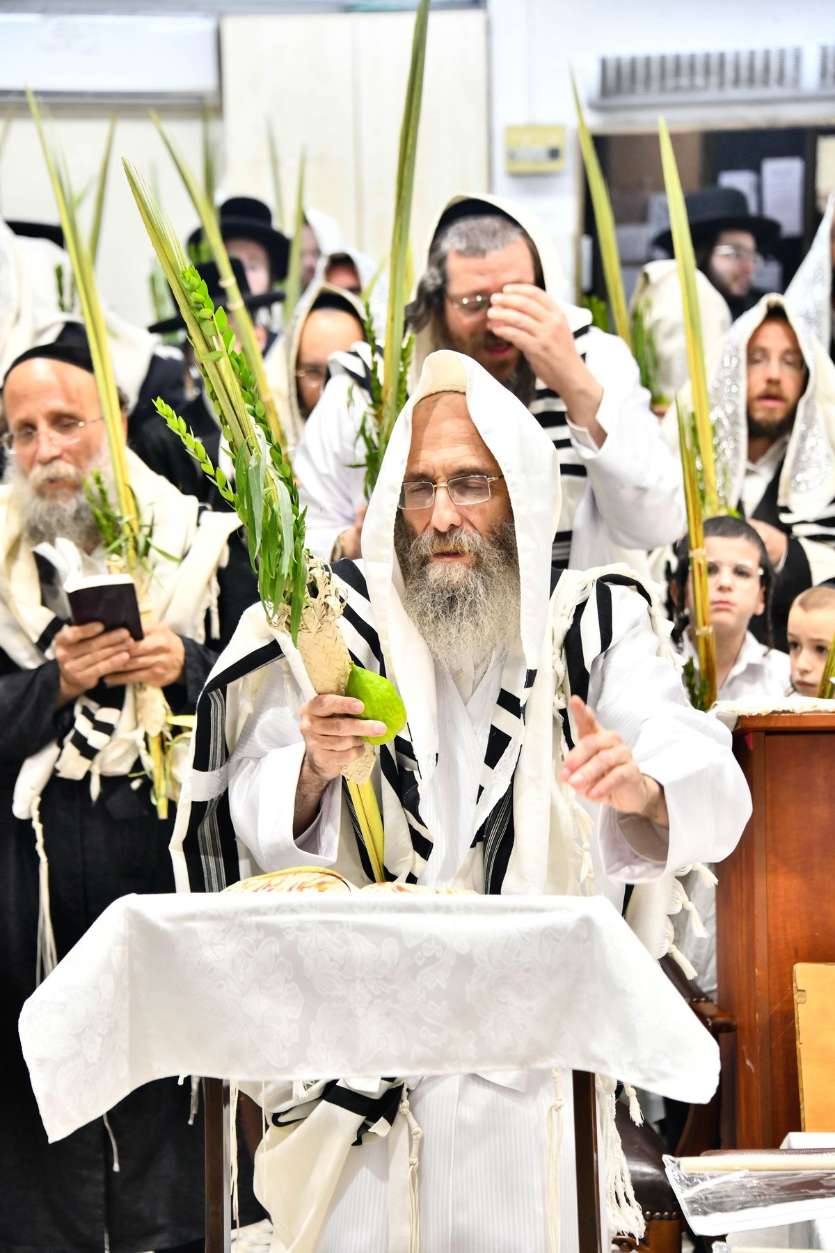 הושענא רבה אצל המשפיע הגה"צ רבי אלימלך בידרמן 