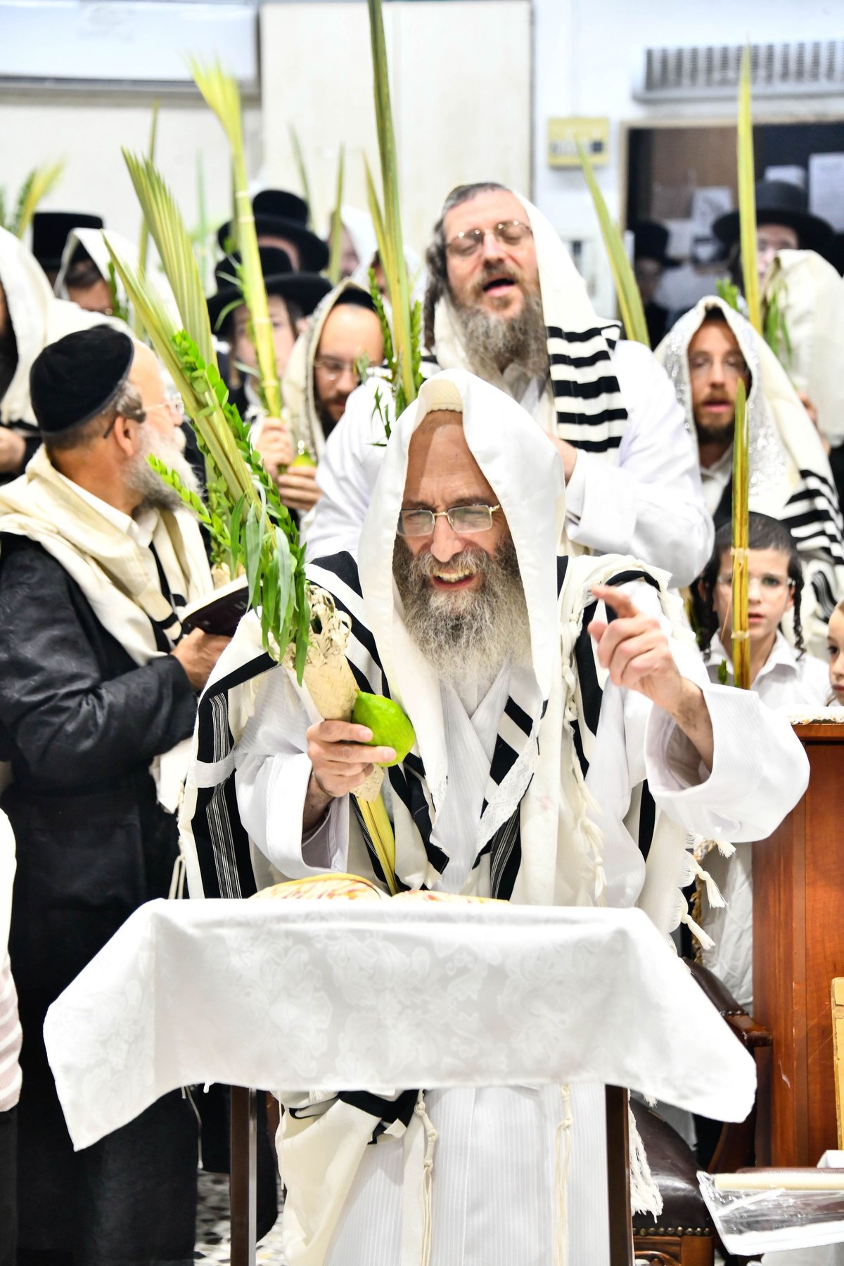 הושענא רבה אצל המשפיע הגה"צ רבי אלימלך בידרמן 