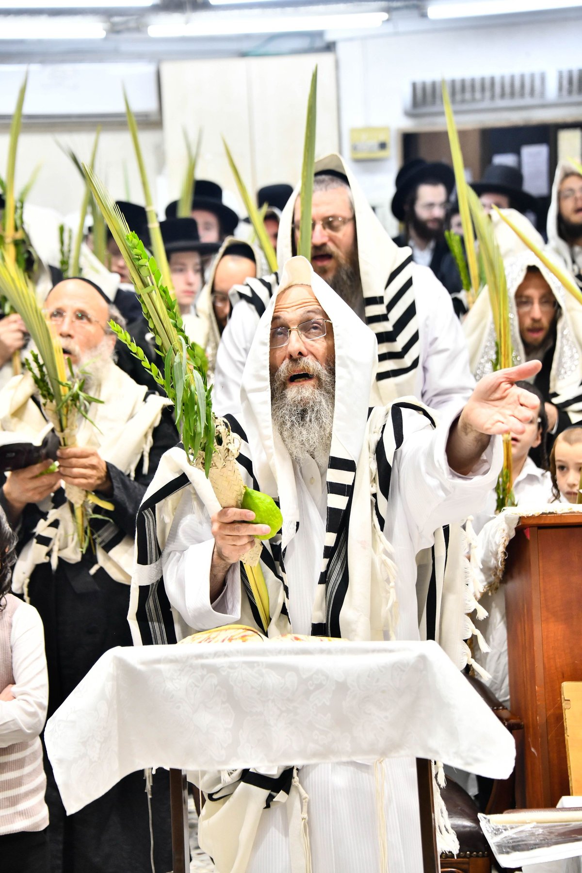 הושענא רבה אצל המשפיע הגה"צ רבי אלימלך בידרמן 