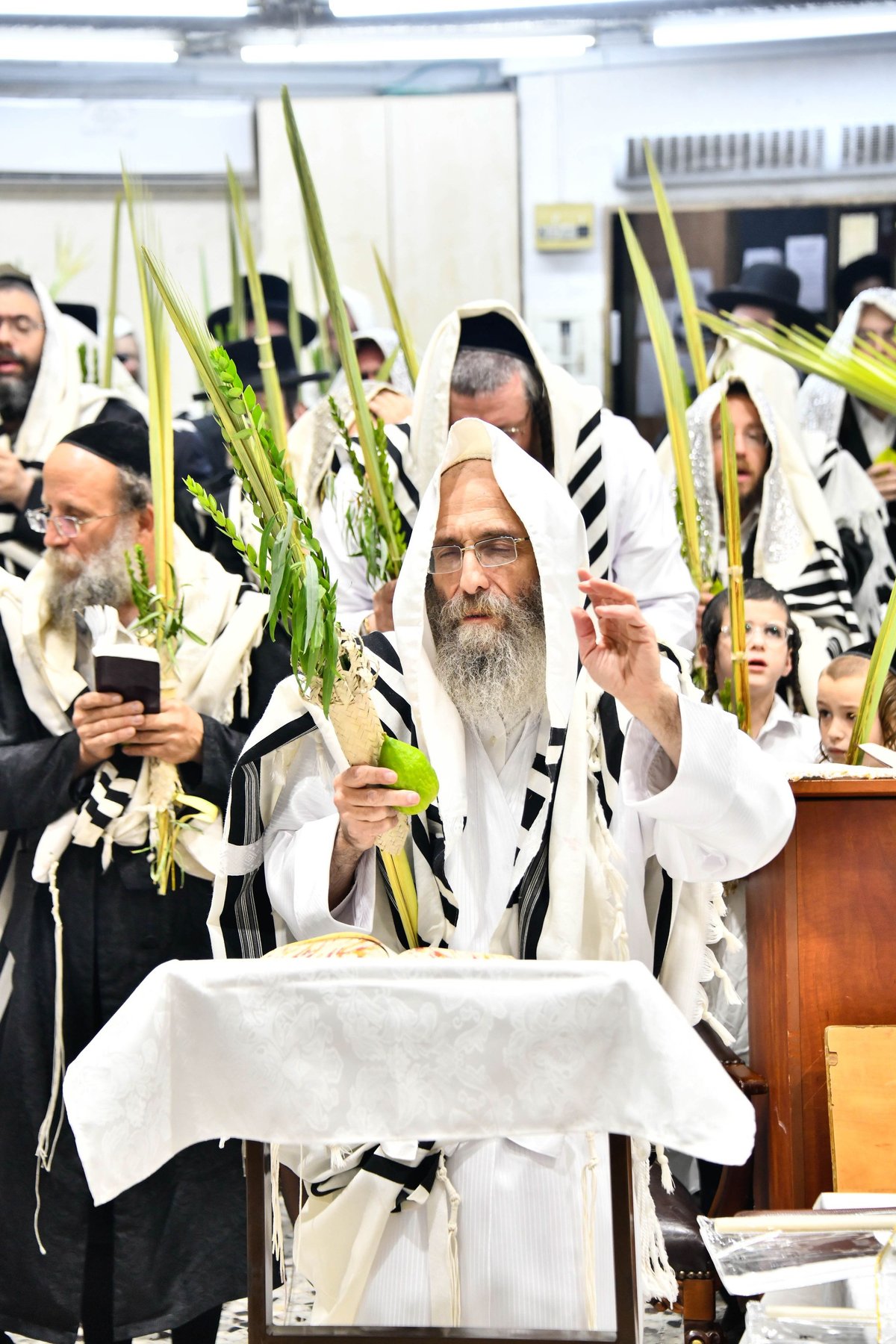 הושענא רבה אצל המשפיע הגה"צ רבי אלימלך בידרמן 