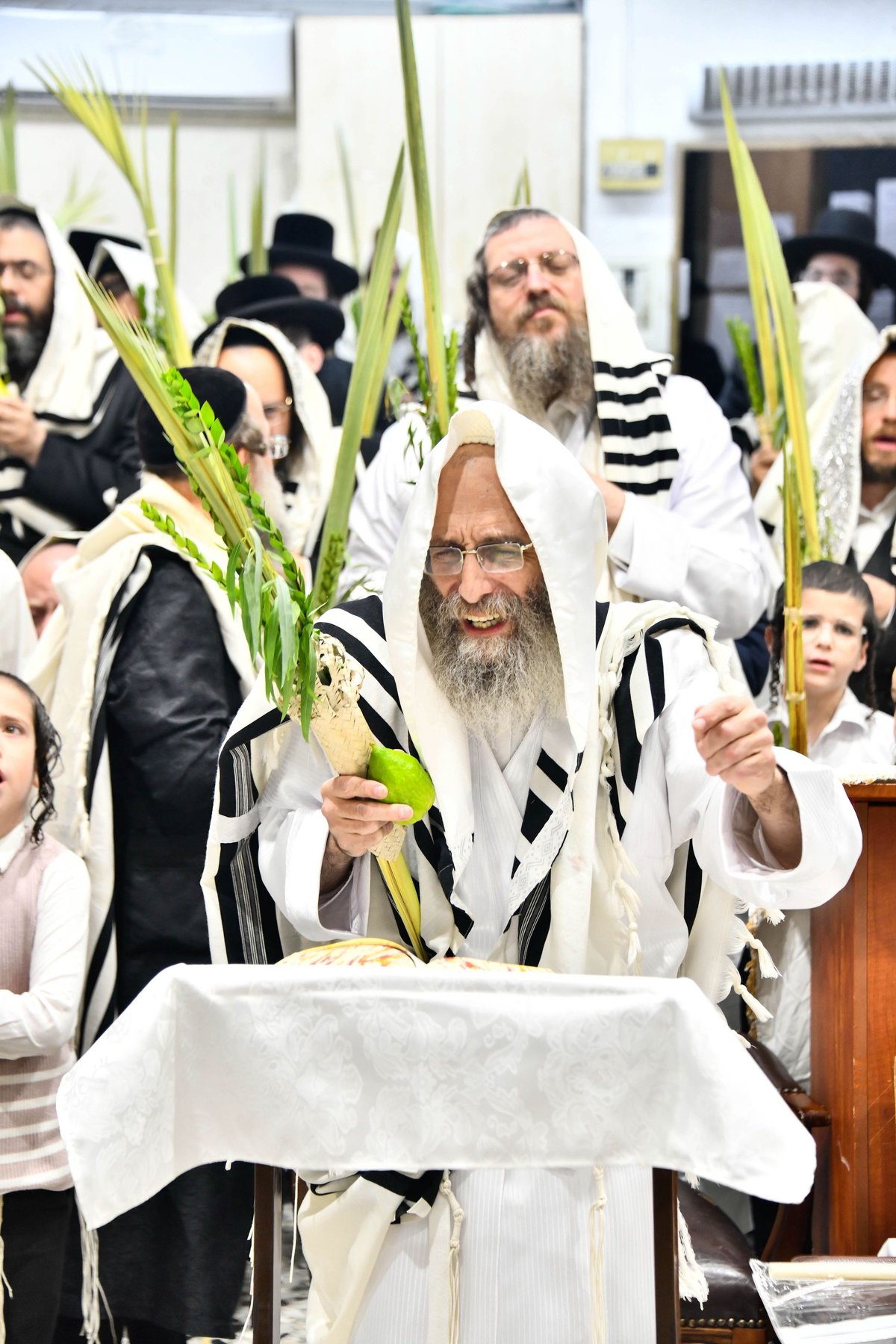 הושענא רבה אצל המשפיע הגה"צ רבי אלימלך בידרמן 