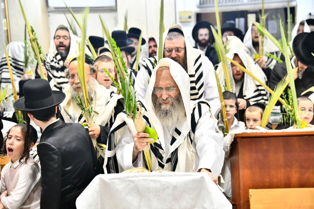 הושענא רבה אצל המשפיע הגה"צ רבי אלימלך בידרמן 