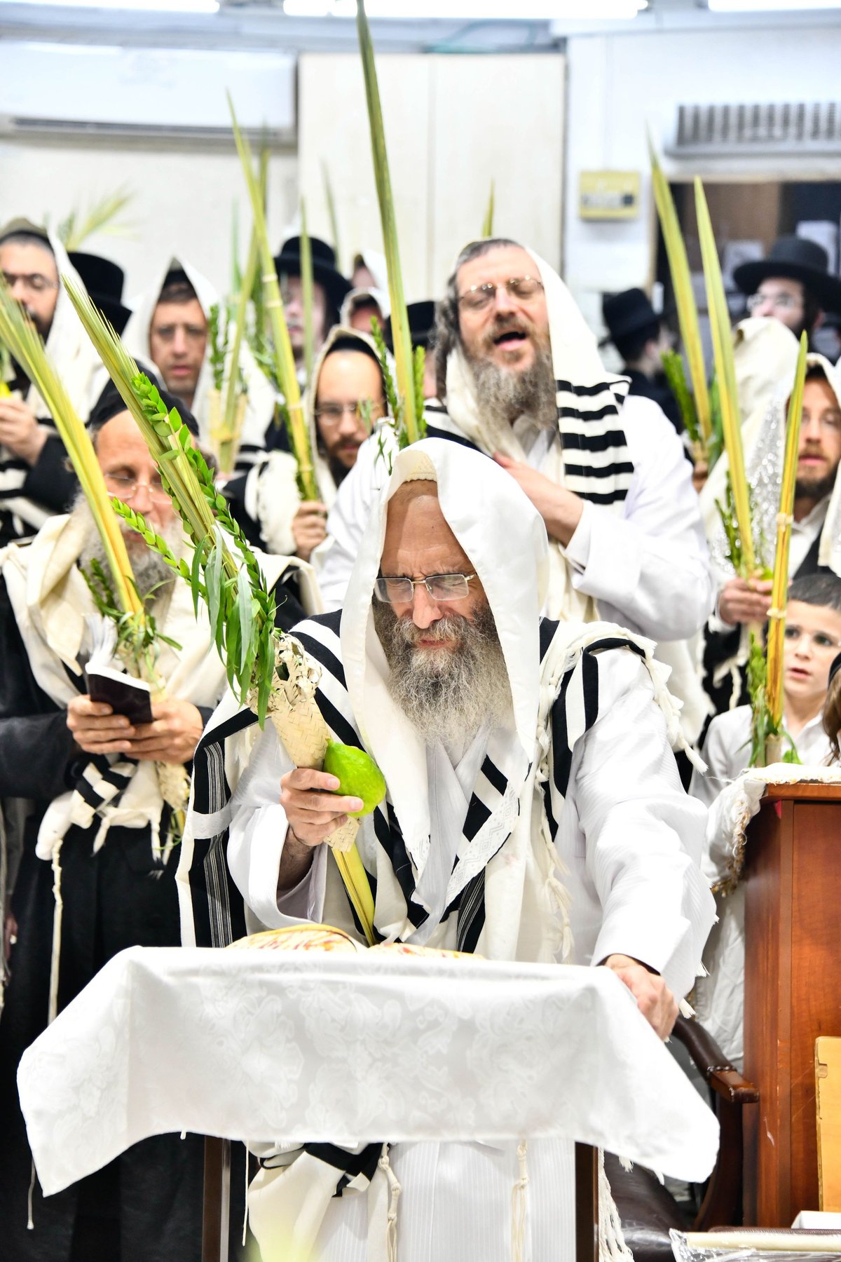 הושענא רבה אצל המשפיע הגה"צ רבי אלימלך בידרמן 