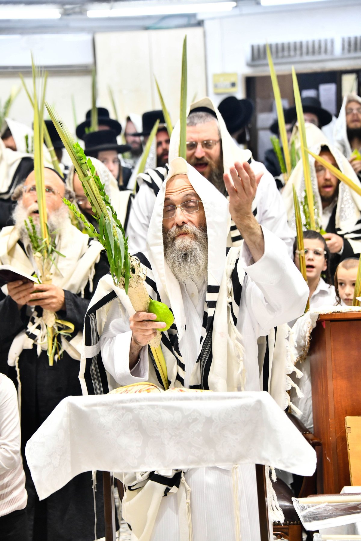 הושענא רבה אצל המשפיע הגה"צ רבי אלימלך בידרמן 