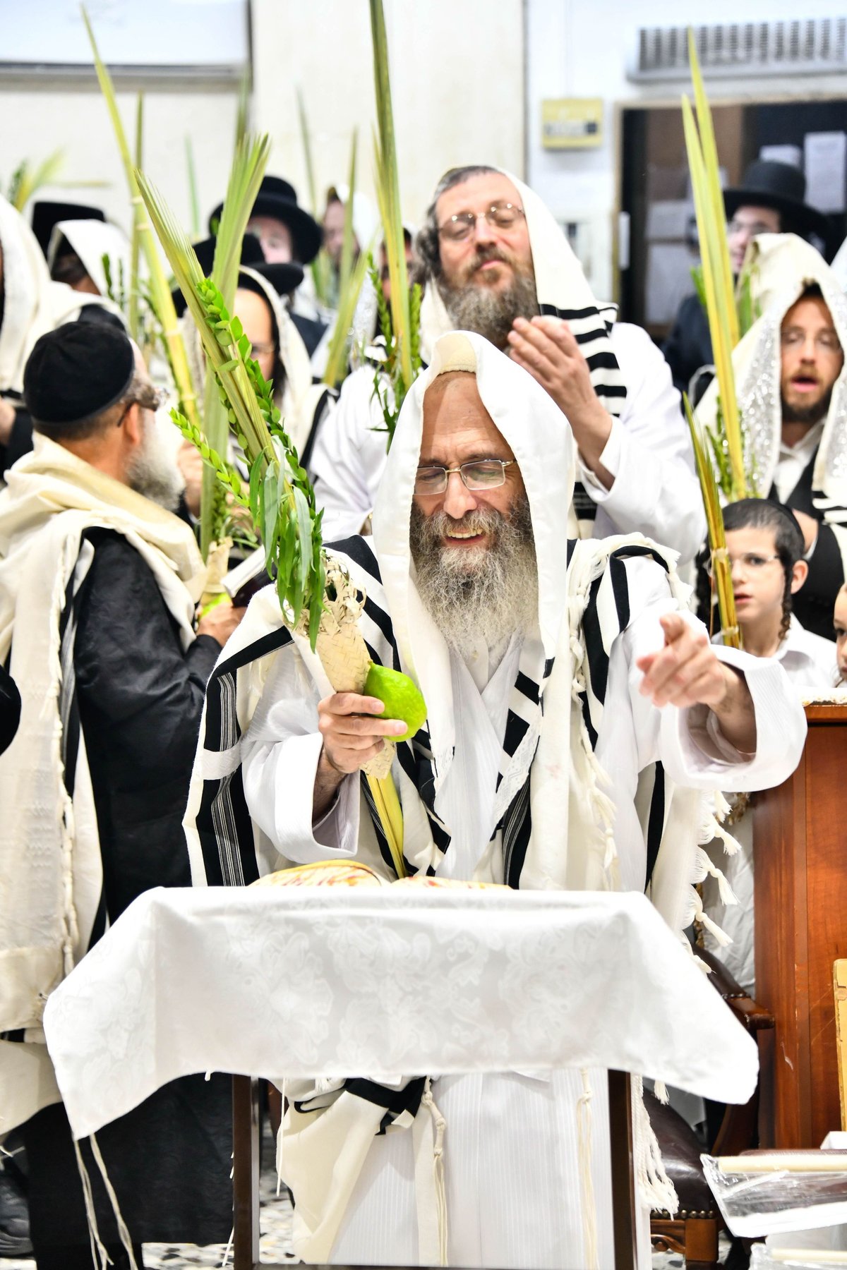 הושענא רבה אצל המשפיע הגה"צ רבי אלימלך בידרמן 