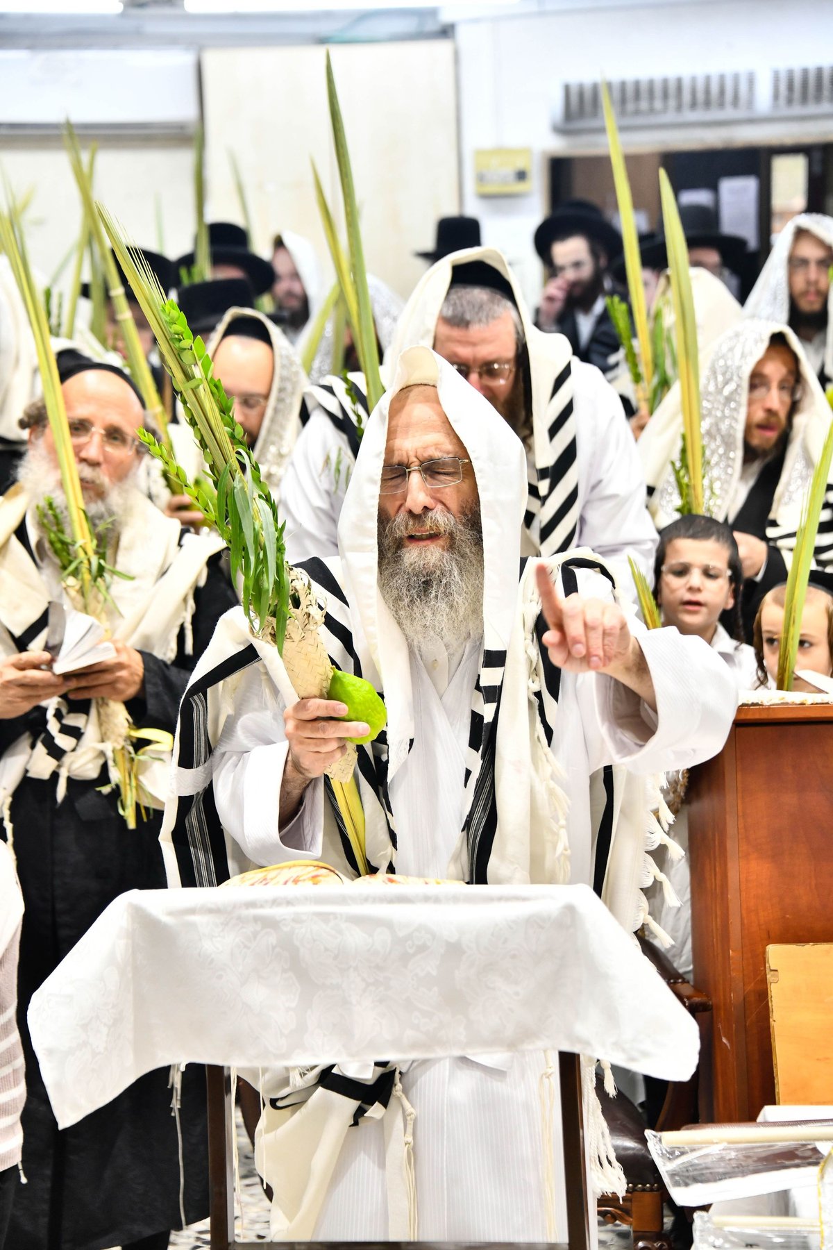 הושענא רבה אצל המשפיע הגה"צ רבי אלימלך בידרמן 