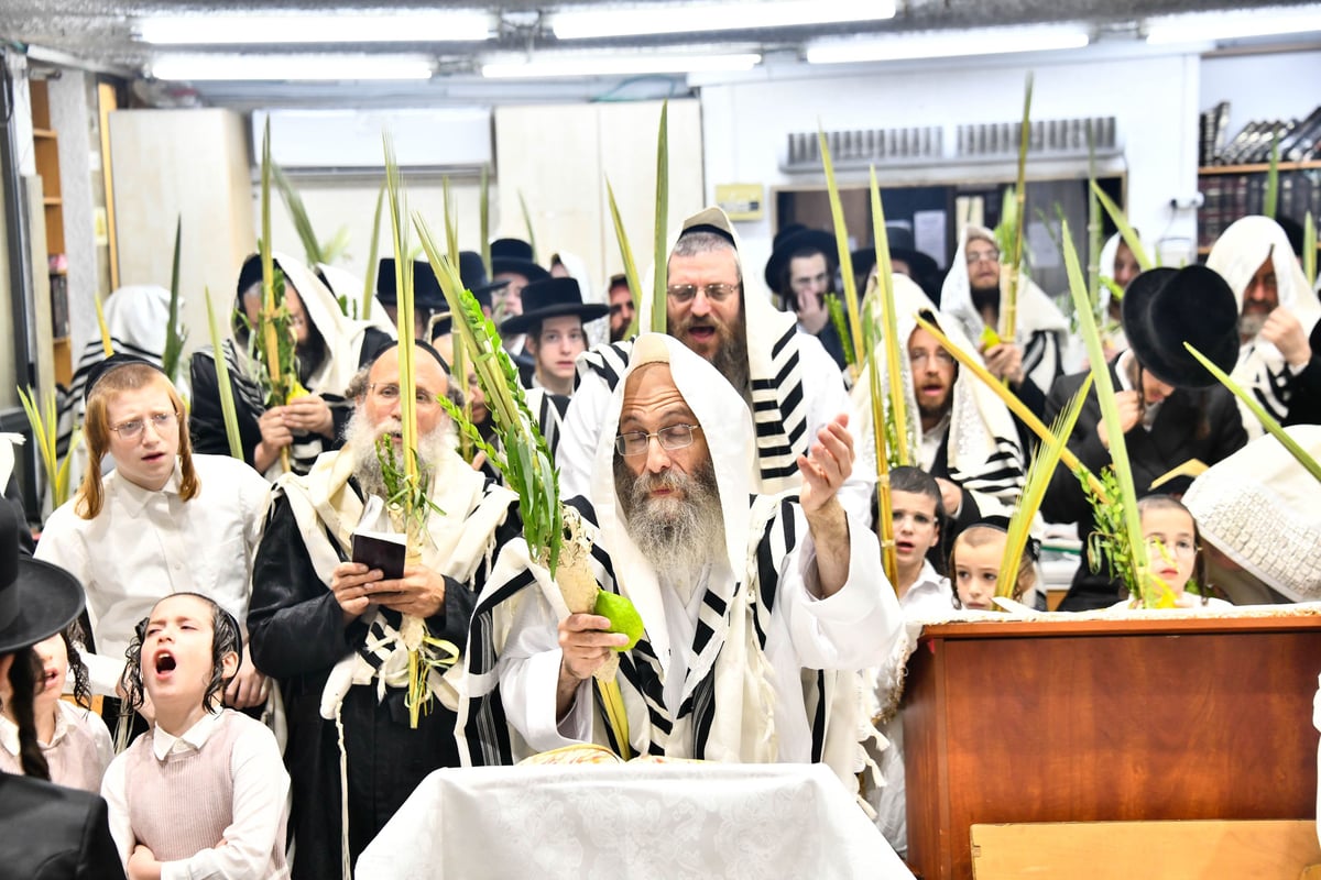 הושענא רבה אצל המשפיע הגה"צ רבי אלימלך בידרמן 