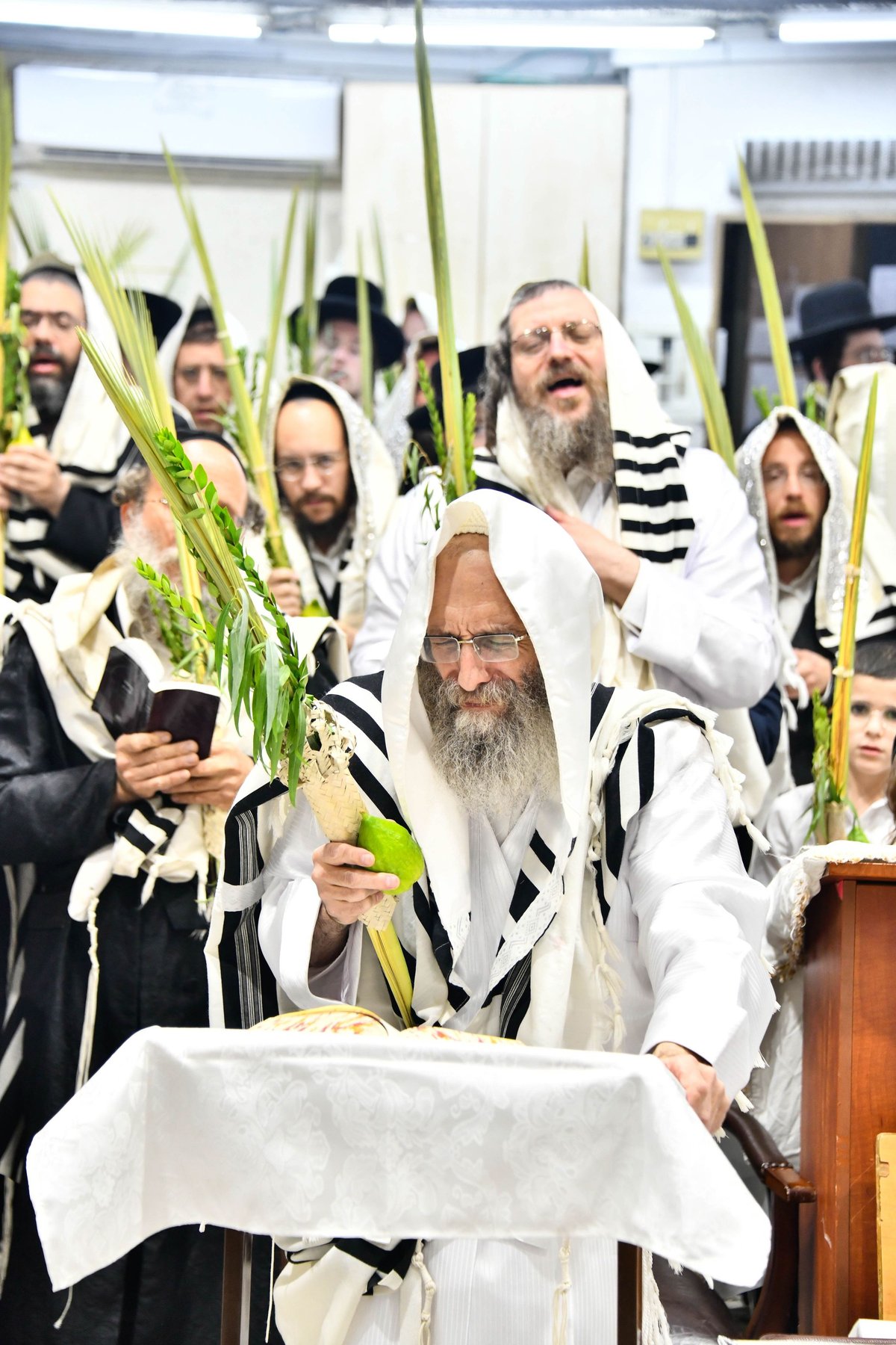 הושענא רבה אצל המשפיע הגה"צ רבי אלימלך בידרמן 