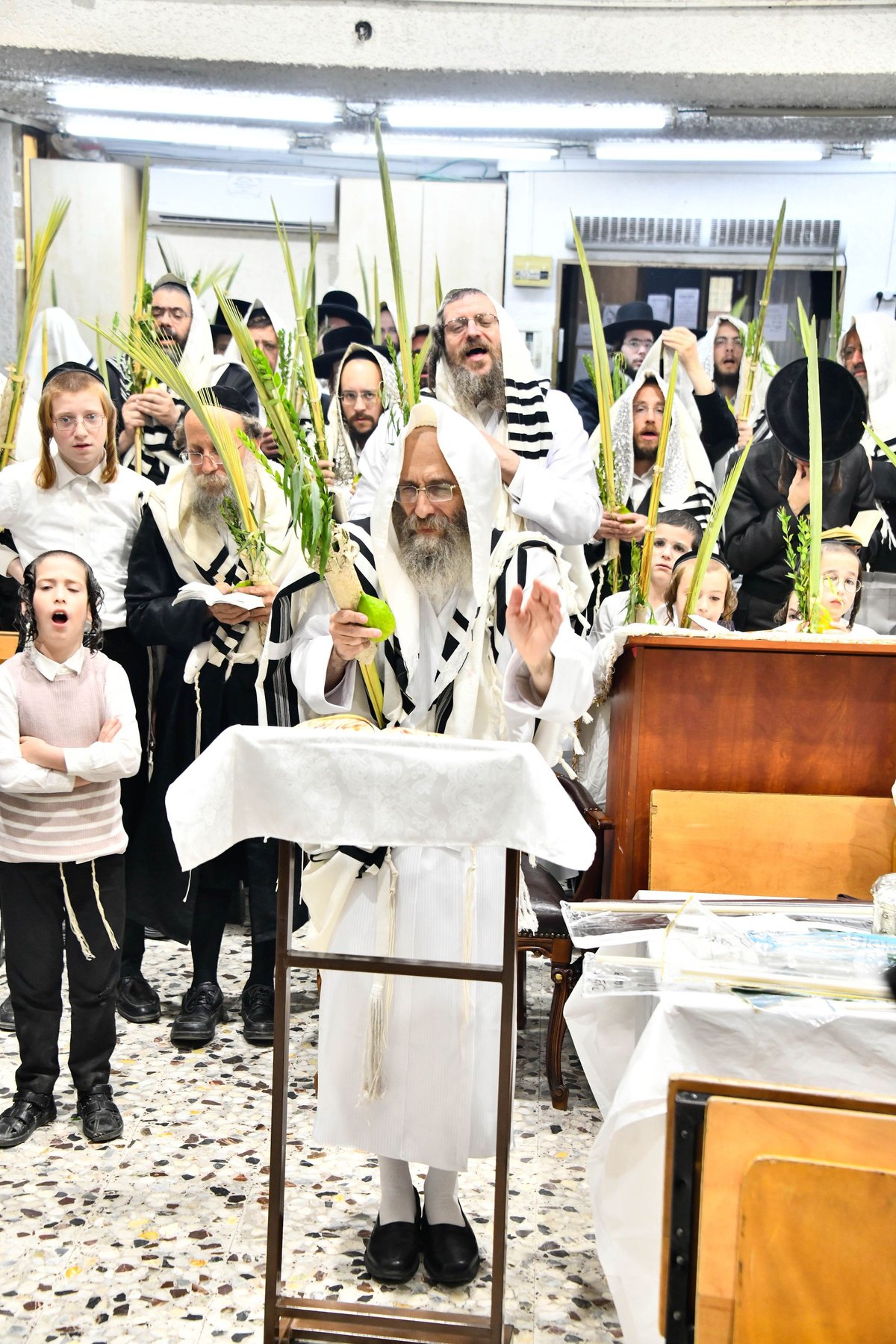 הושענא רבה אצל המשפיע הגה"צ רבי אלימלך בידרמן 