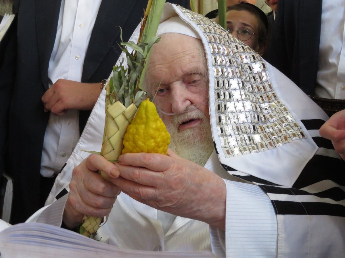 סוכות תשפ"ה במחיצת הגר"מ שטרנבוך