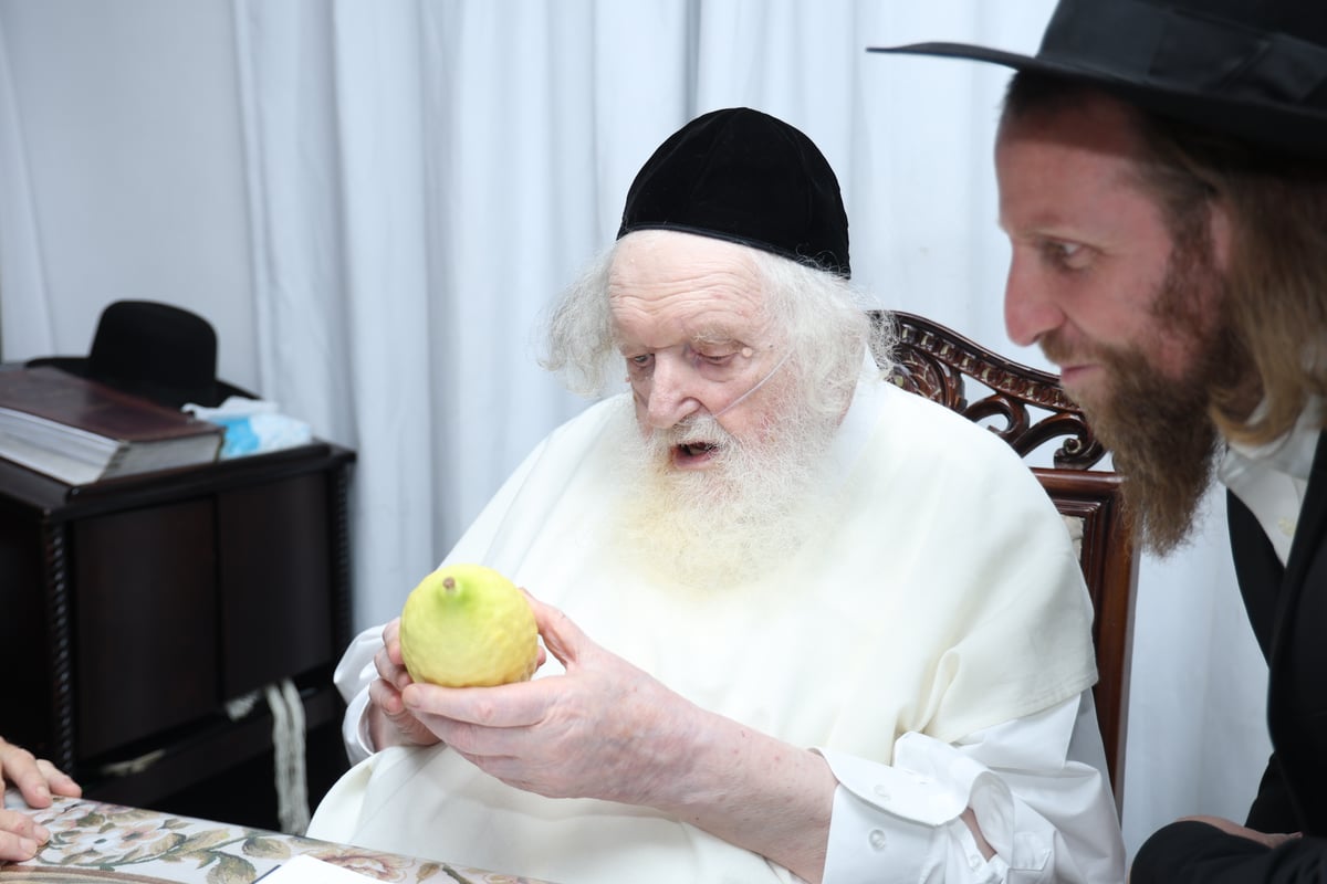 סוכות תשפ"ה במחיצת הגר"מ שטרנבוך