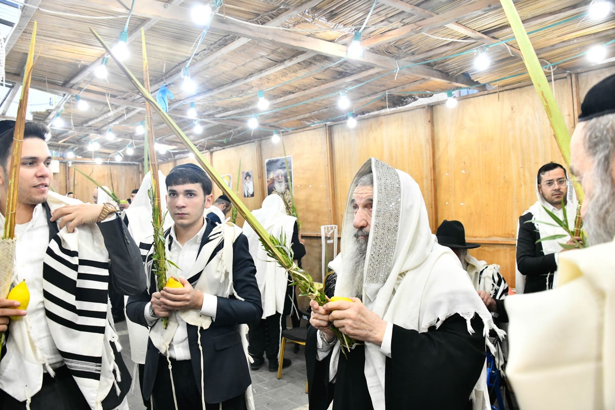 הושענא רבה אצל הגאון רבי ניסים בן שמעון 