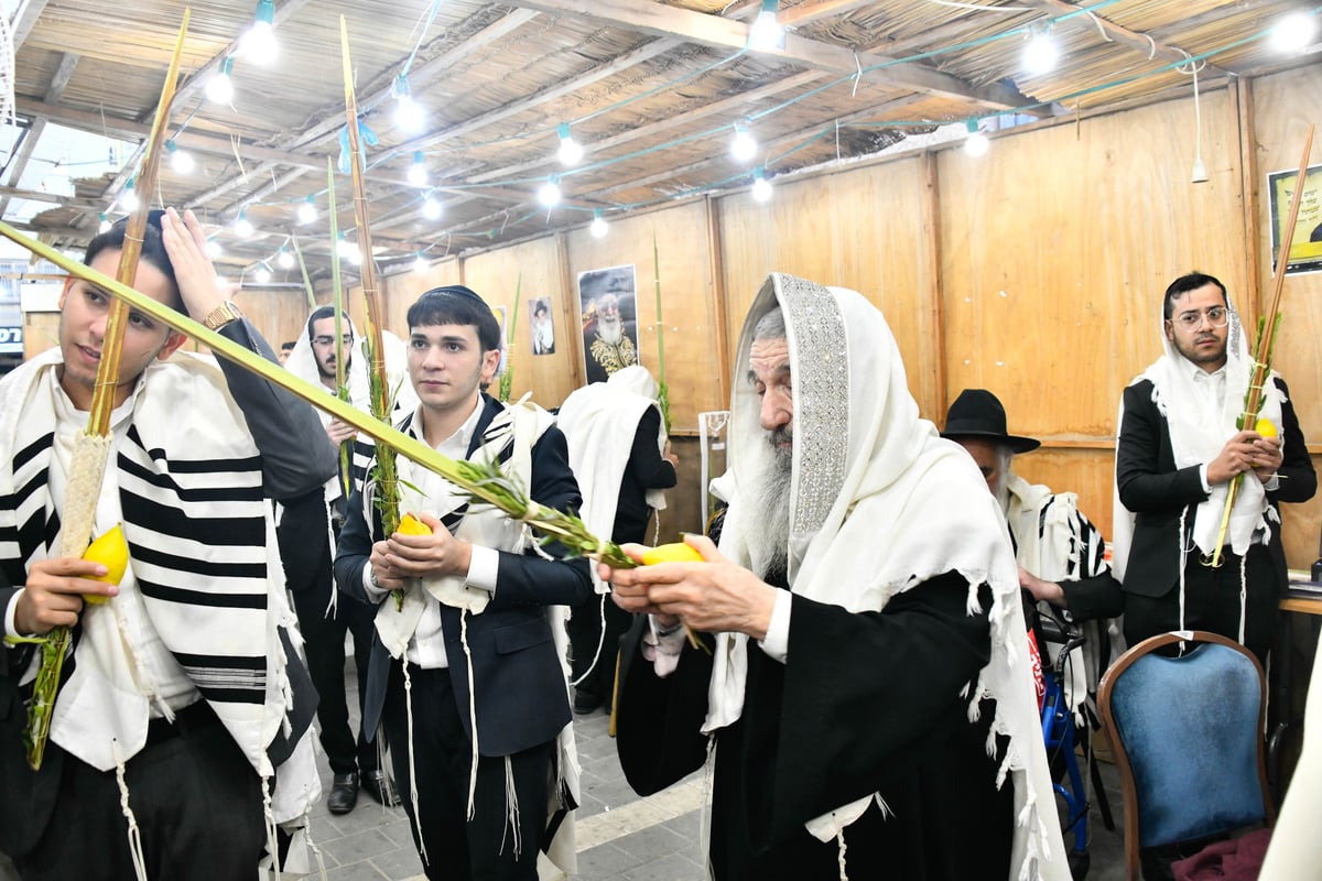 הושענא רבה אצל הגאון רבי ניסים בן שמעון 