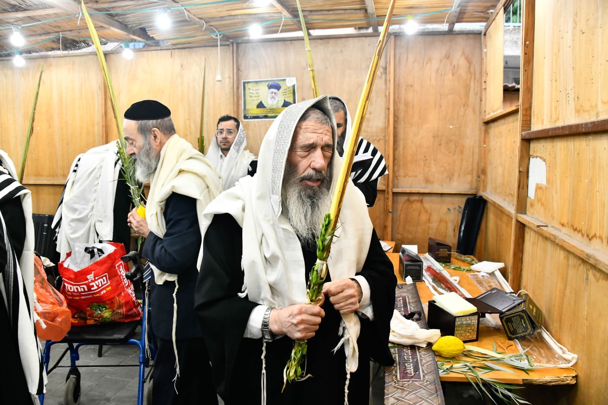 הושענא רבה אצל הגאון רבי ניסים בן שמעון 