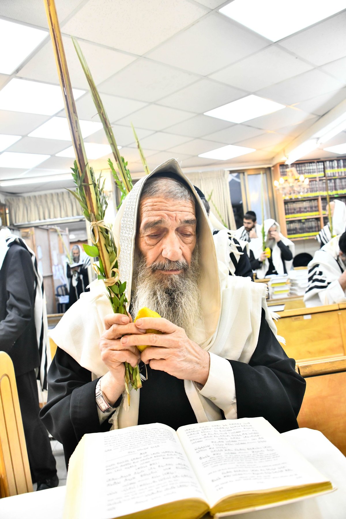 הושענא רבה אצל הגאון רבי ניסים בן שמעון 