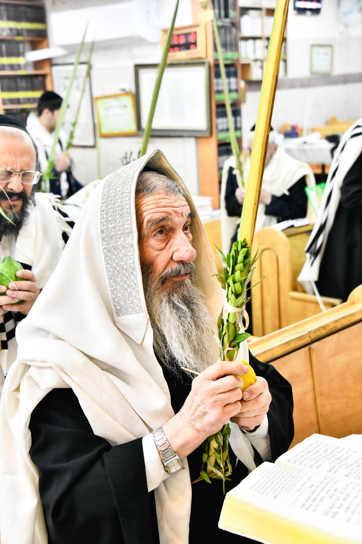 הושענא רבה אצל הגאון רבי ניסים בן שמעון 