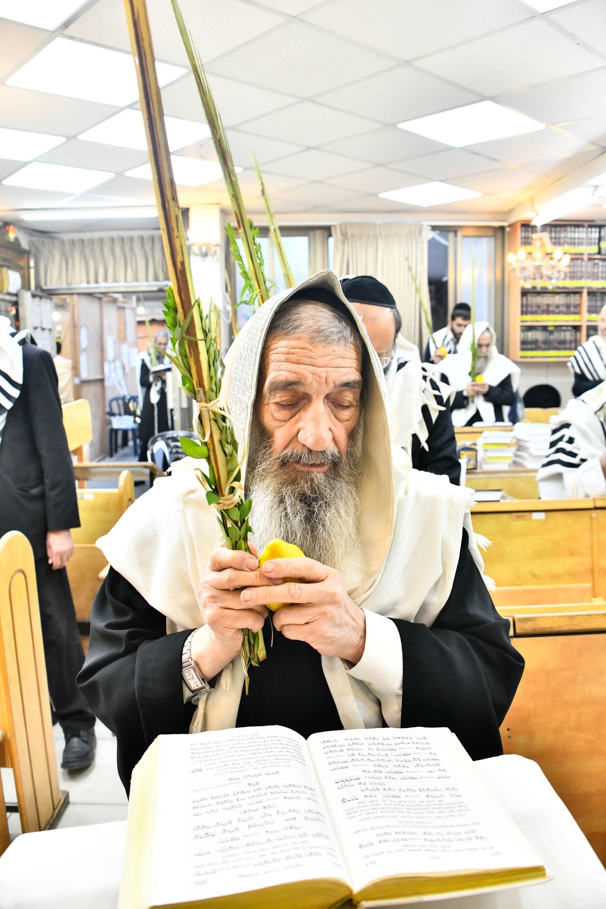 הושענא רבה אצל הגאון רבי ניסים בן שמעון 