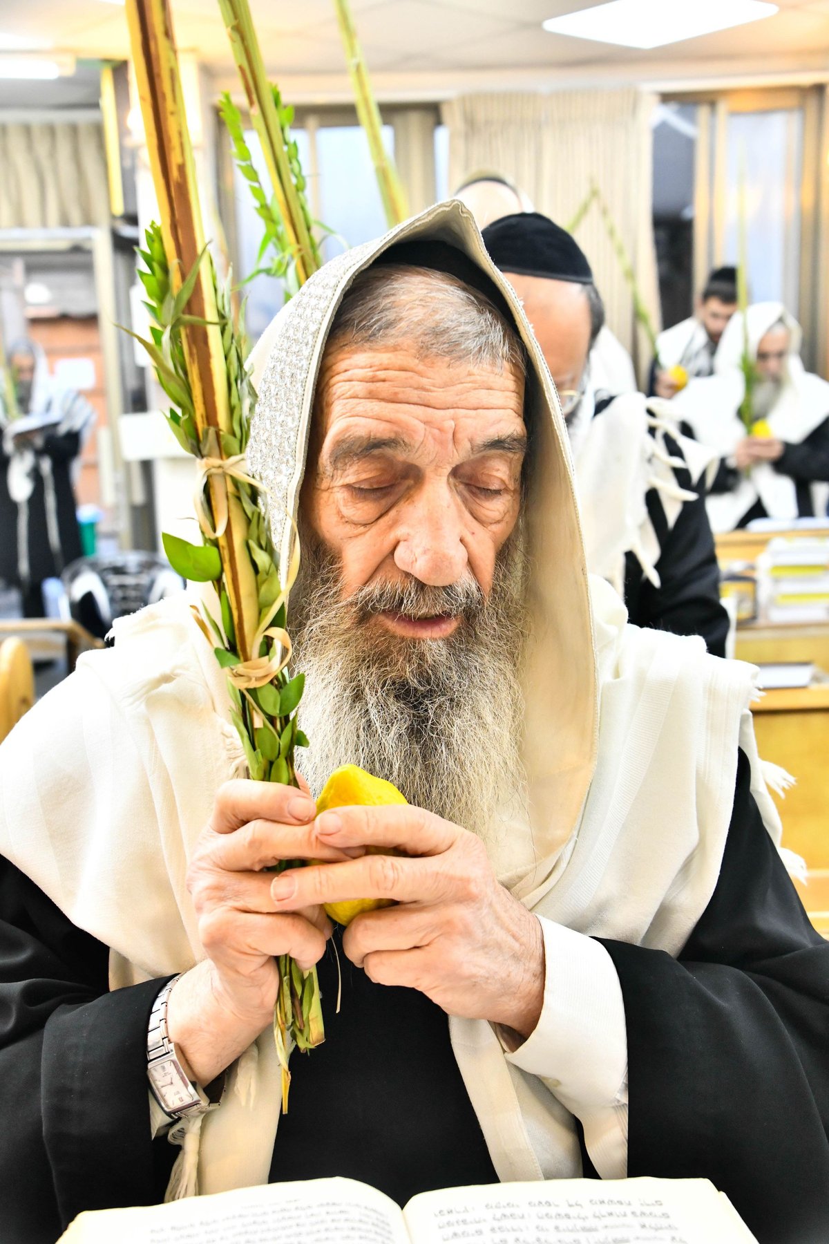 הושענא רבה אצל הגאון רבי ניסים בן שמעון 