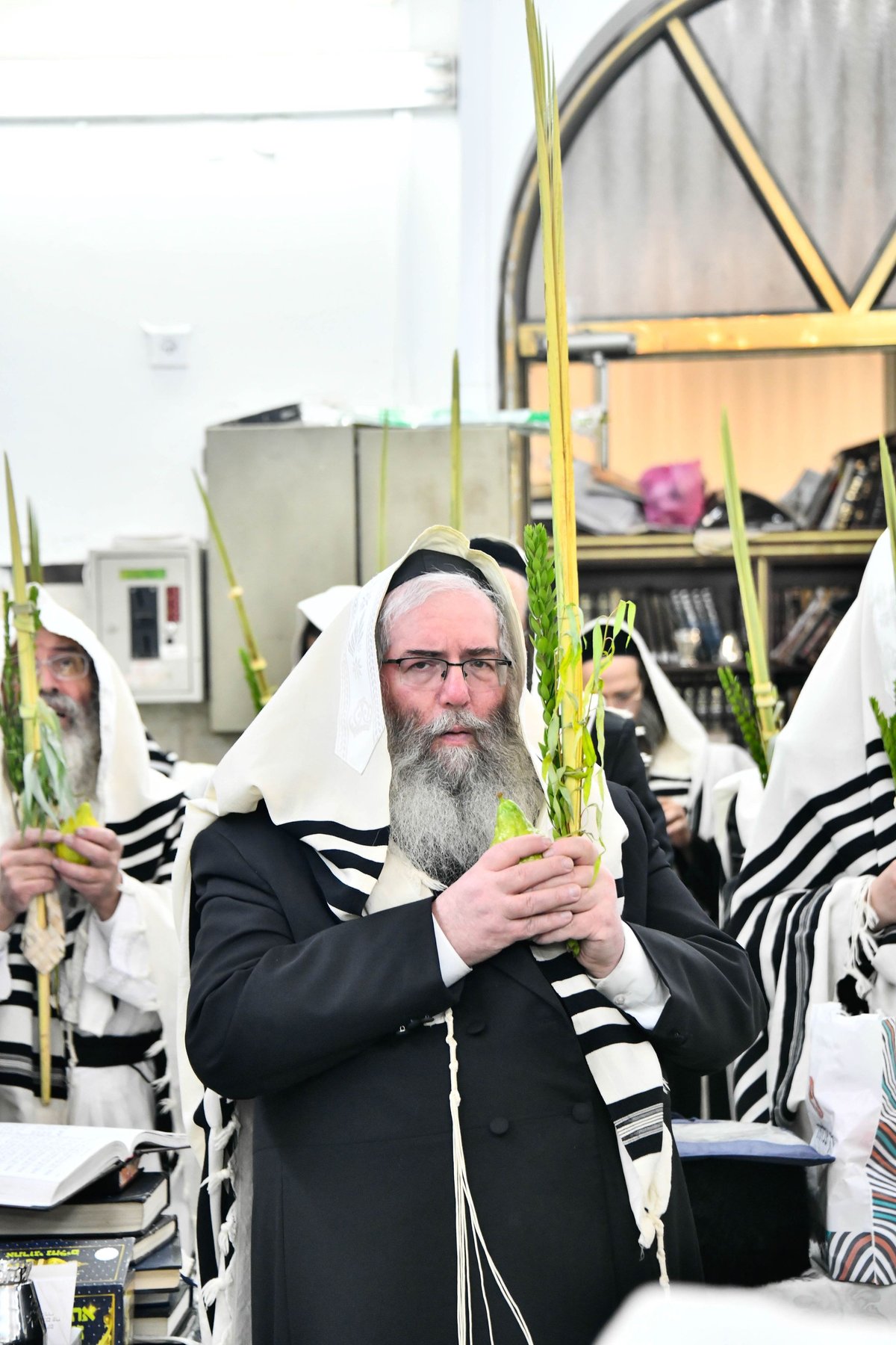 הושענא רבה בחצה"ק מודז'יץ