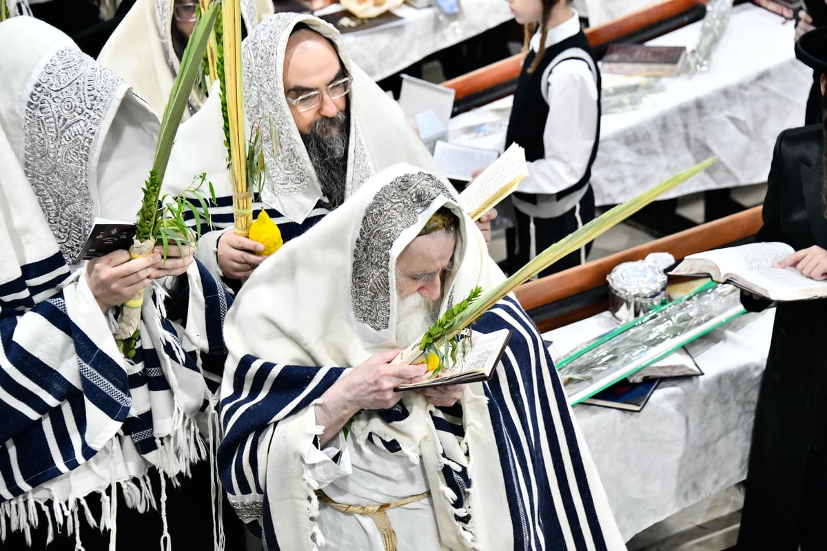 הושענא רבה בחצה"ק מכנובקא בעלזא