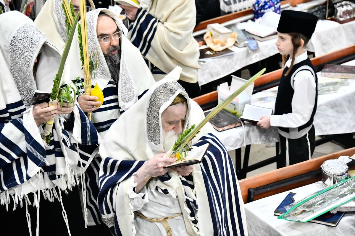 הושענא רבה בחצה"ק מכנובקא בעלזא