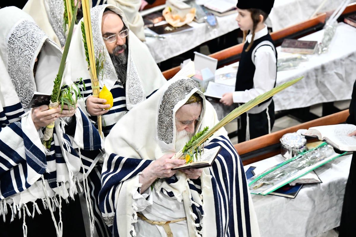 הושענא רבה בחצה"ק מכנובקא בעלזא