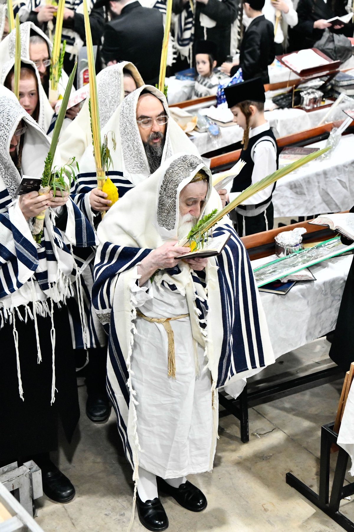 הושענא רבה בחצה"ק מכנובקא בעלזא