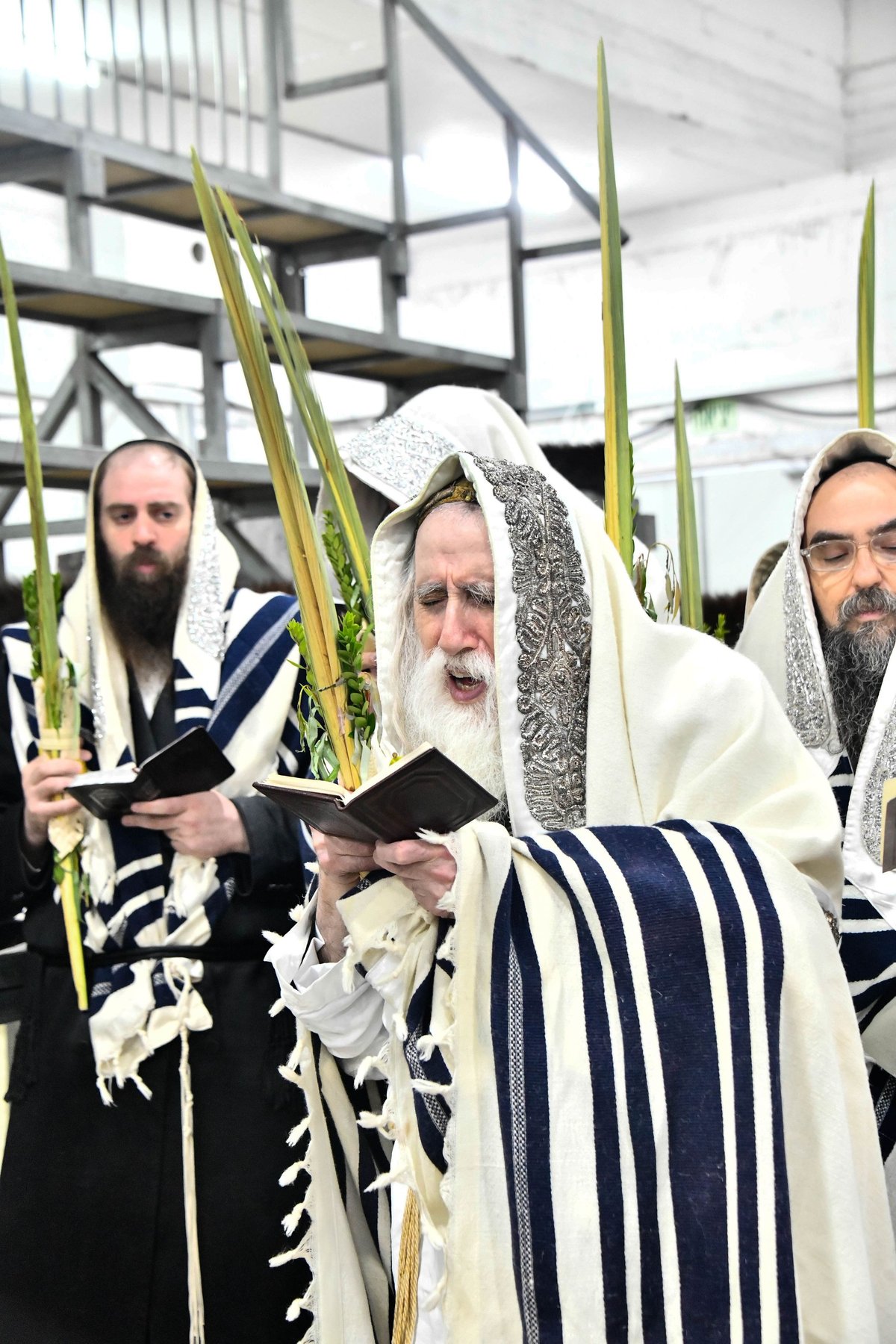 הושענא רבה בחצה"ק מכנובקא בעלזא