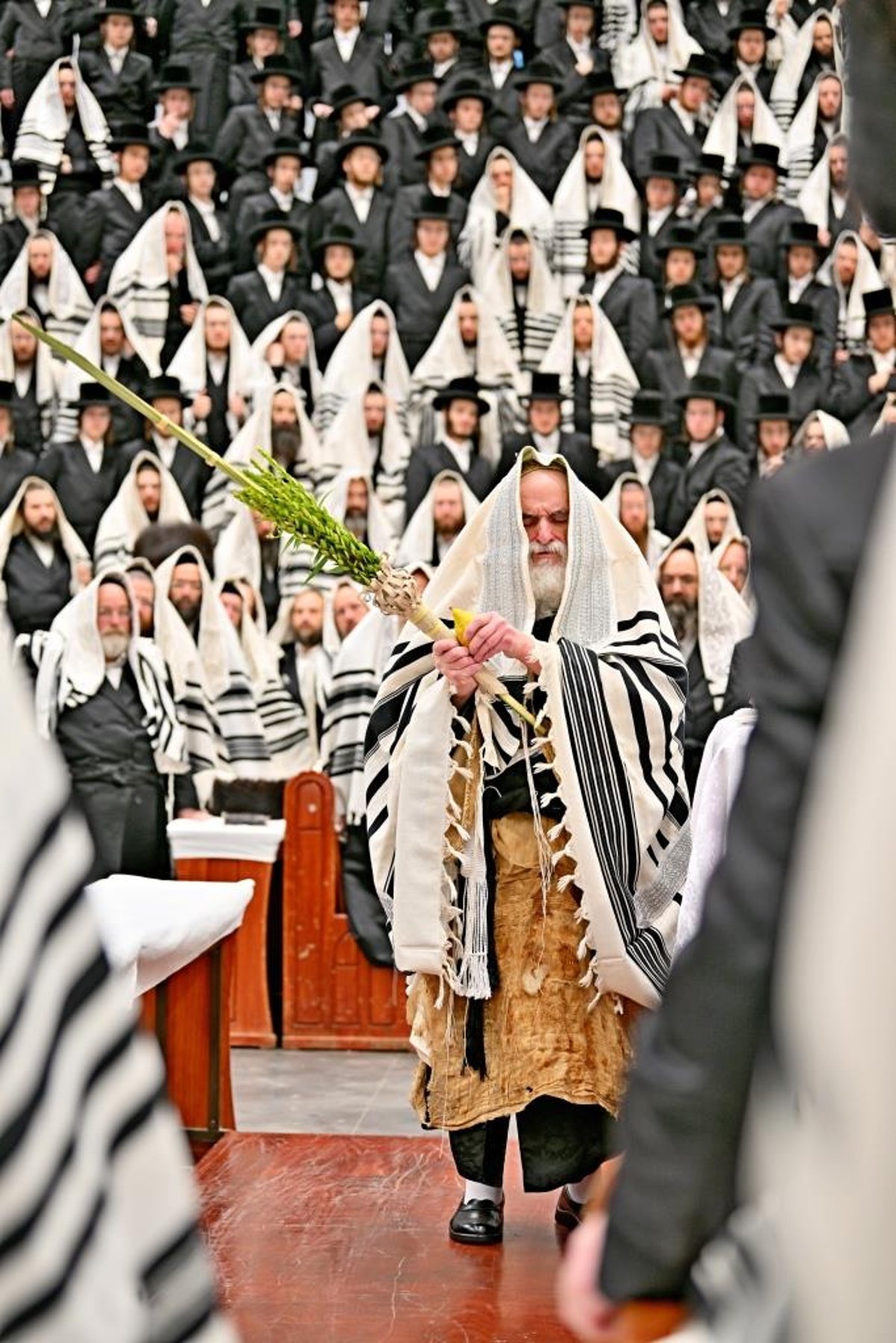 סוכות ושמחת תורה בחצה"ק ויז'ניץ 