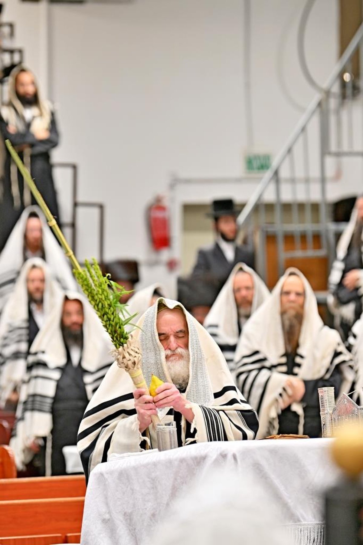 סוכות ושמחת תורה בחצה"ק ויז'ניץ 