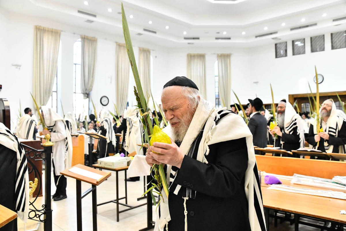 הושענא רבה בישיבת סלבודקה