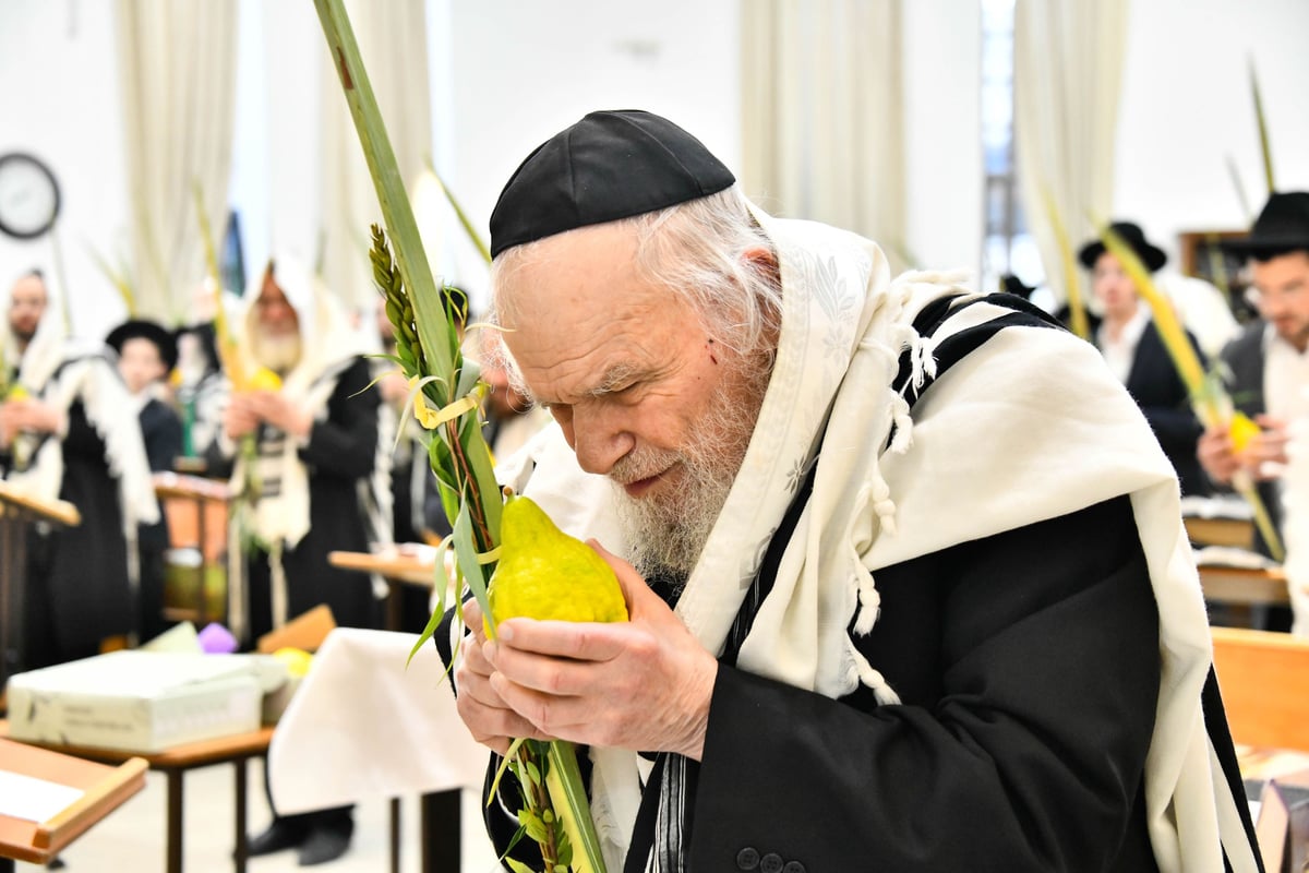 הושענא רבה בישיבת סלבודקה