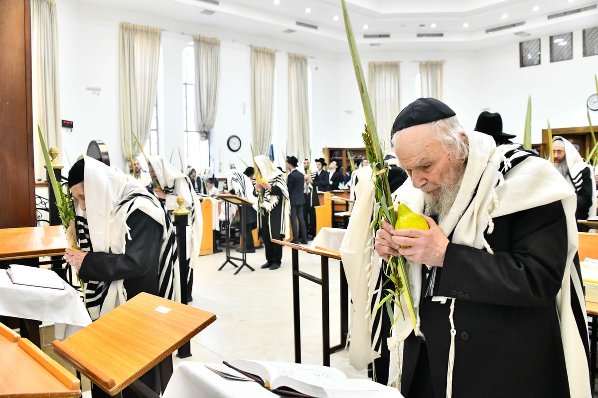 הושענא רבה בישיבת סלבודקה