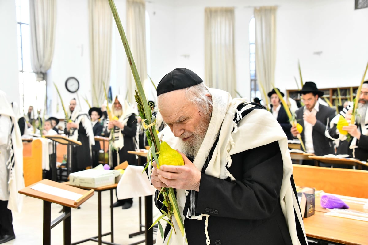 הושענא רבה בישיבת סלבודקה