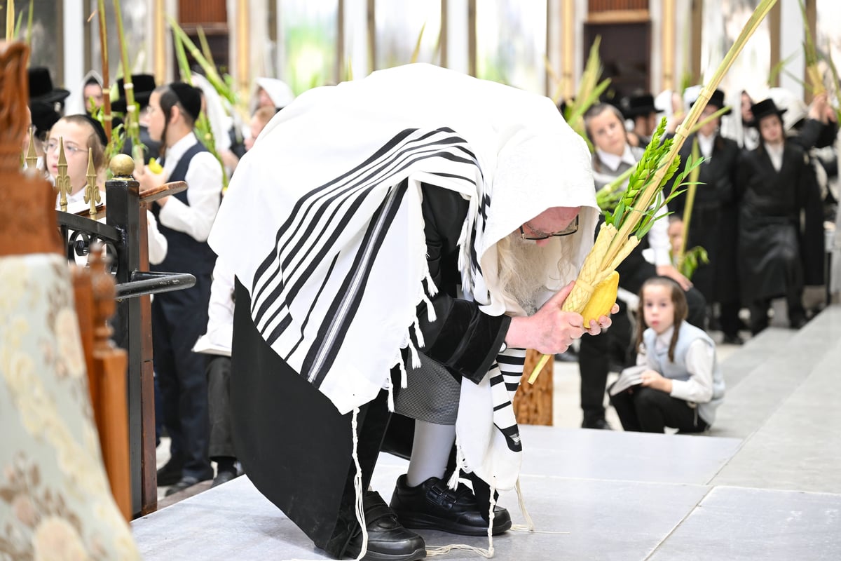 הושענא רבה בחצה"ק צאנז