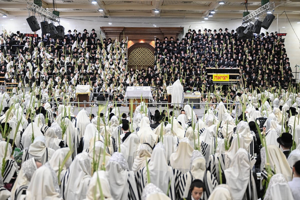 הושענא רבה בחצה"ק צאנז