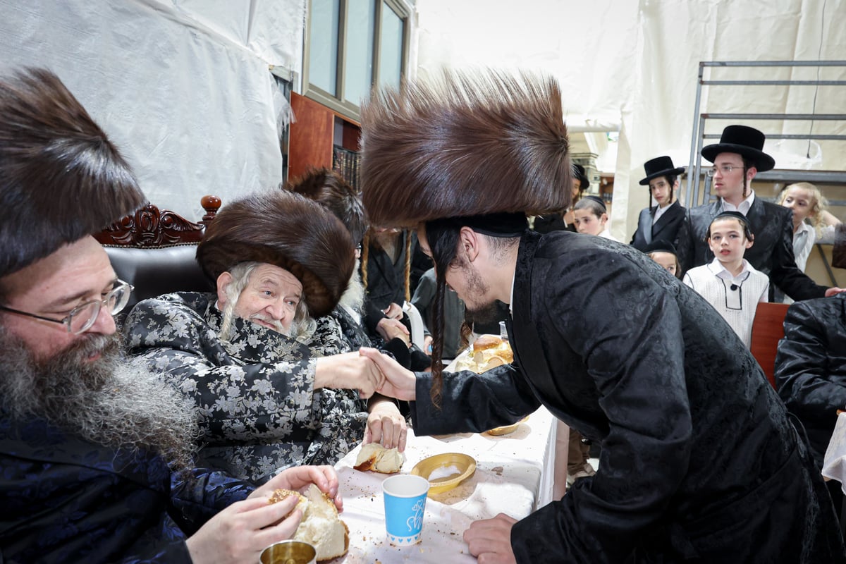 פדיון הבן בחצרות טשערנוביל - טעמשוואר 