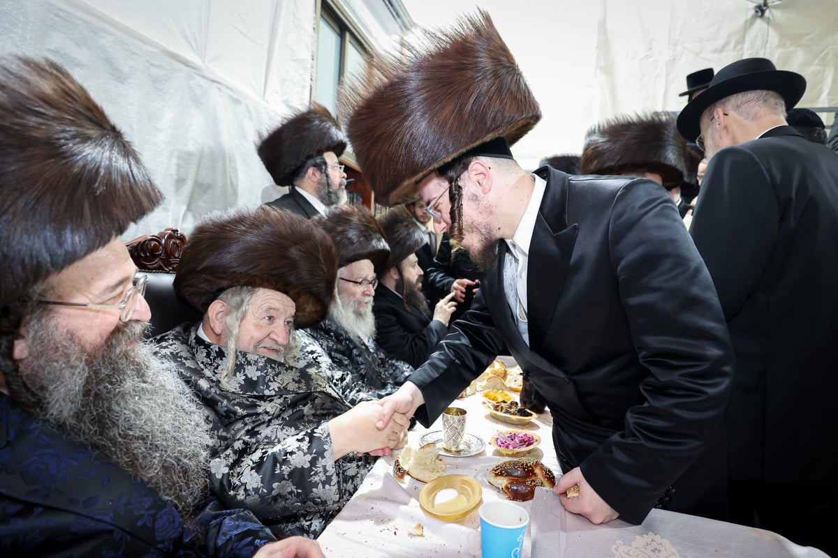 פדיון הבן בחצרות טשערנוביל - טעמשוואר 