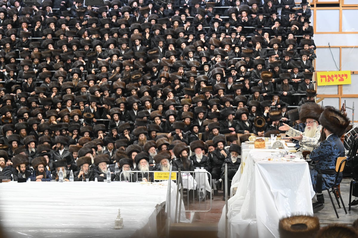 'עפל טיש' במוצאי שמחת תורה בחצה"ק צאנז 