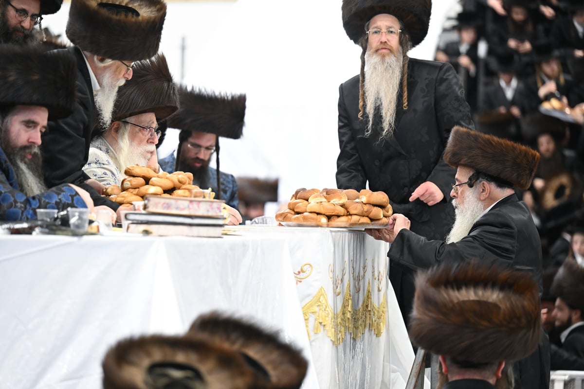 'עפל טיש' במוצאי שמחת תורה בחצה"ק צאנז 