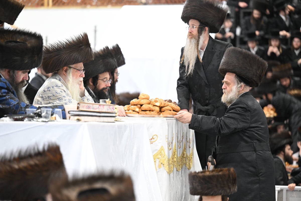 'עפל טיש' במוצאי שמחת תורה בחצה"ק צאנז 