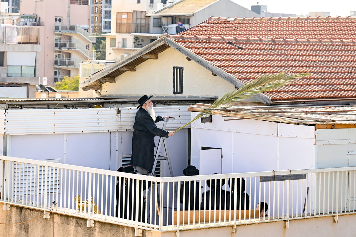 חג הסוכות בחצה"ק צאנז