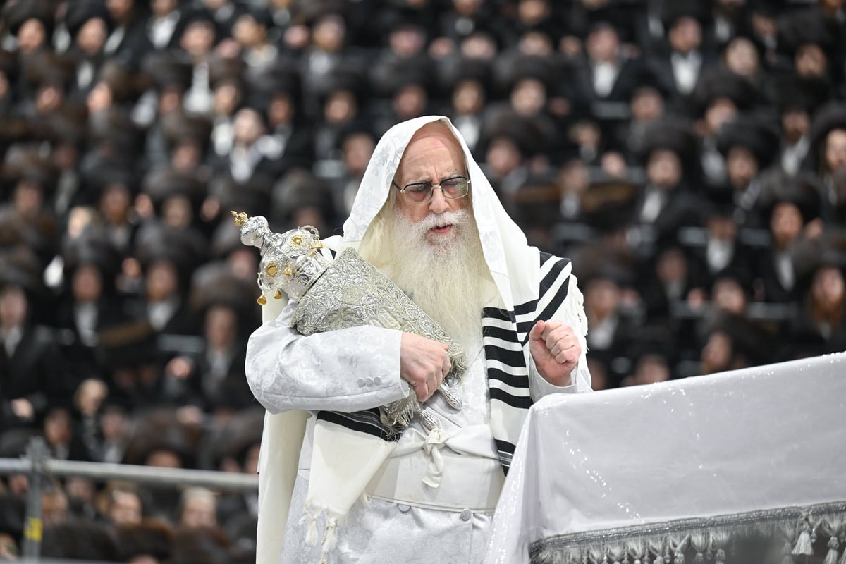 הקפות שניות בחצה"ק צאנז