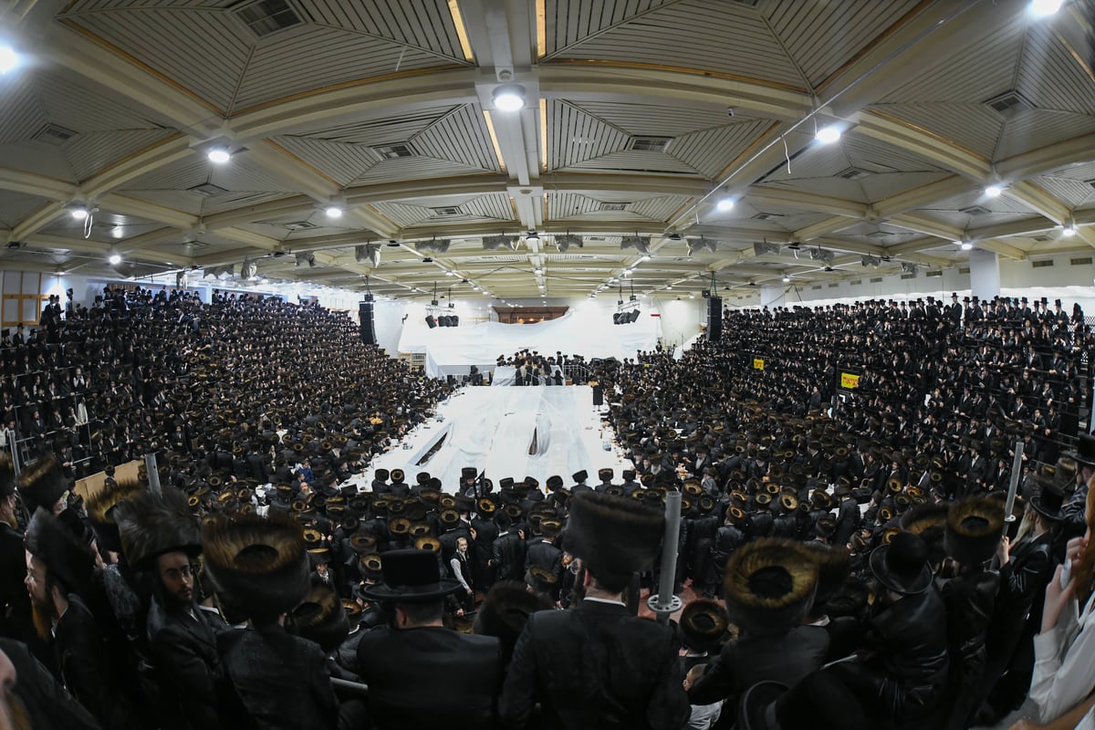 הקפות שניות בחצה"ק צאנז